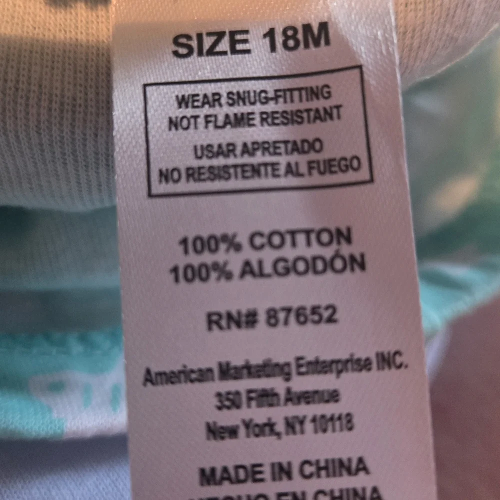 Bluey Bingo 2 Piece PJ Set, Light Green Size 18mos NWT
